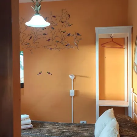 Geraeumiges Haus Mit Exklusivem Schwimmbad Und Solarium- By Interhome *